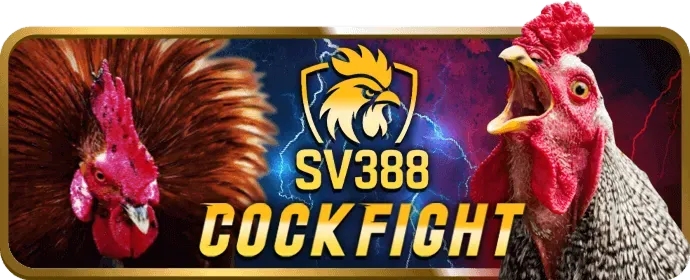 Chương trình hoàn trả cược thể thao tại 33win39 Code